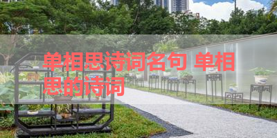 单相思诗词名句 单相思的诗词