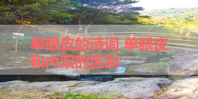 单眼皮的诗词 单眼皮和内双的区别