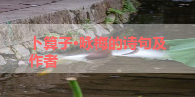 卜算子·咏梅的诗句及作者 