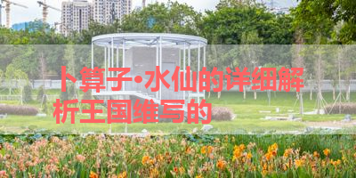 卜算子·水仙的详细解析王国维写的 