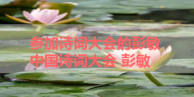参加诗词大会的彭敏 中国诗词大会 彭敏