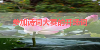 参加诗词大赛的开场词 