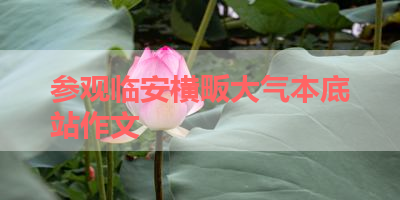 参观临安横畈大气本底站作文 