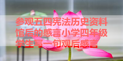 参观五四宪法历史资料馆后的感言小学四年级学生写一句观后感言 