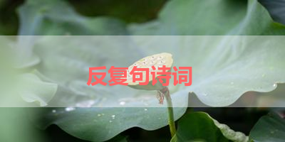 反复句诗词 