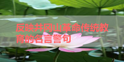 反映井冈山革命传统教育的名言警句 