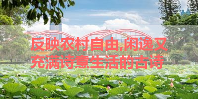 反映农村自由,闲逸又充满诗意生活的古诗 