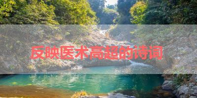 反映医术高超的诗词 