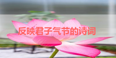 反映君子气节的诗词 
