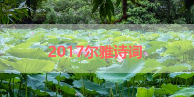 2017尔雅诗词 