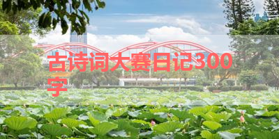 古诗词大赛日记300字 