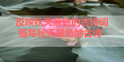 反映秋天景色的古诗词 描写秋天景色的古诗 