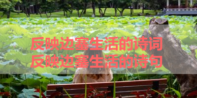 反映边塞生活的诗词 反映边塞生活的诗句