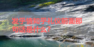 发乎情知乎礼仪前面那句话是什么？ 