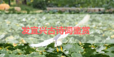 发宜兴古诗词鉴赏 