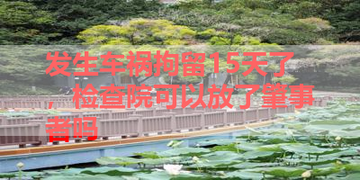 发生车祸拘留15天了，检查院可以放了肇事者吗 