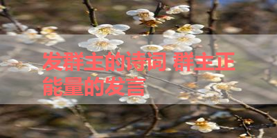 发群主的诗词 群主正能量的发言