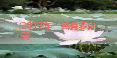 2017年一共有多少天 