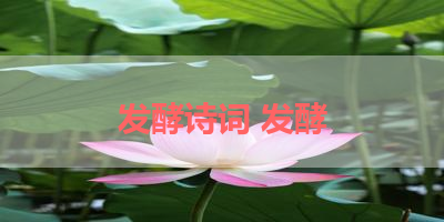 发酵诗词 发酵