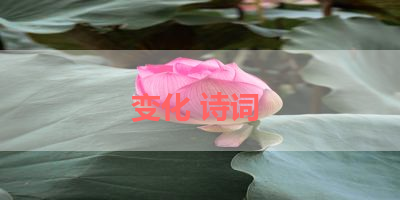 变化 诗词 
