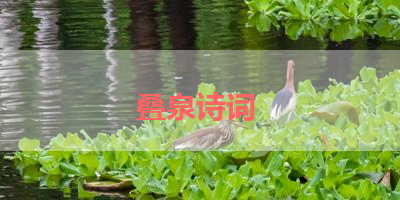 叠泉诗词 