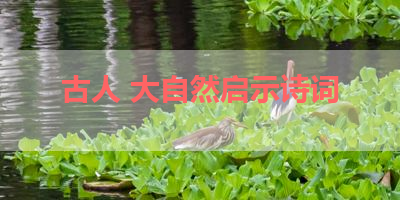 古人 大自然启示诗词 