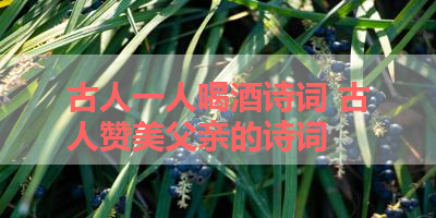 古人一人喝酒诗词 古人赞美父亲的诗词