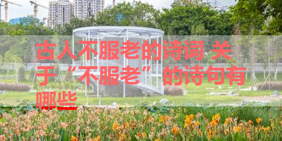 古人不服老的诗词 关于“不服老”的诗句有哪些 