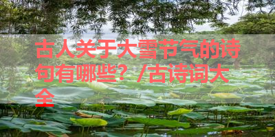 古人关于大雪节气的诗句有哪些？/古诗词大全 