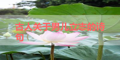 古人关于男儿立志的诗句 