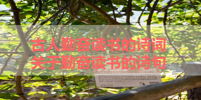 古人勤奋读书的诗词 关于勤奋读书的诗句 