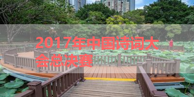 2017年中国诗词大会总决赛 