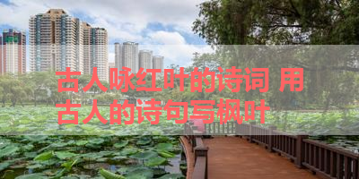 古人咏红叶的诗词 用古人的诗句写枫叶 