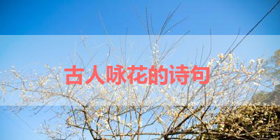 古人咏花的诗句 