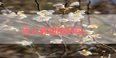 古人咏荷的诗句。 