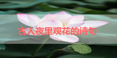 古人夜里观花的诗句 