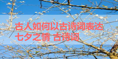 古人如何以古诗词表达七夕之情 古诗词