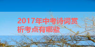 2017年中考诗词赏析考点有哪些 