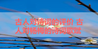 古人对诗词的评价 古人对杨梅的诗词歌赋