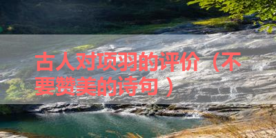 古人对项羽的评价（不要赞美的诗句 ） 