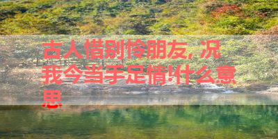 古人惜别怜朋友, 况我今当手足情!什么意思 