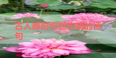 古人感时伤世伤情的诗句 