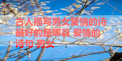 古人描写男女爱情的诗最好的是哪首 爱情的诗句 男女