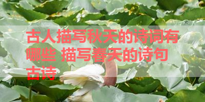 古人描写秋天的诗词有哪些 描写春天的诗句古诗