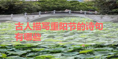 古人描写重阳节的诗句有哪些 