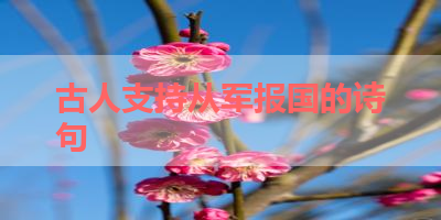 古人支持从军报国的诗句 