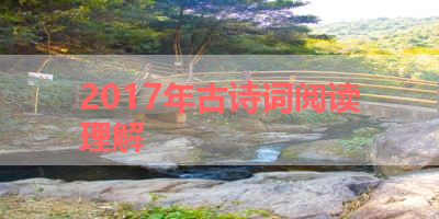 2017年古诗词阅读理解 