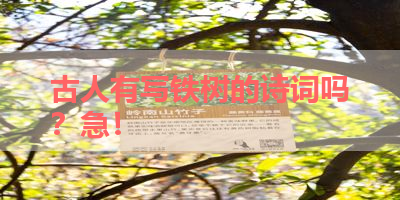 古人有写铁树的诗词吗？急！ 