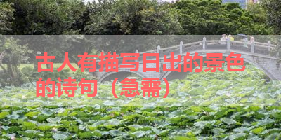 古人有描写日出的景色的诗句（急需） 