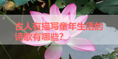 古人有描写童年生活的诗歌有哪些？ 